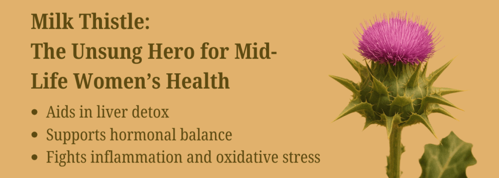 Milk Thistle: The Unsung Hero for Mid-Life Women’s Health