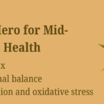 Milk Thistle: The Unsung Hero for Mid-Life Women’s Health